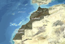 المغرب.. دعوى أمام  أعلى سلطة قضائية لإلغاءالتطبيع مع الصهاينة