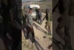 تطبيق"تيك توك" الصيني يحذف حساب شبكة إخبارية فلسطينية انتقدت التطبيع