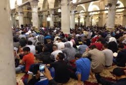 احترام الكبير.. وصايا ونصائح غالية (2)