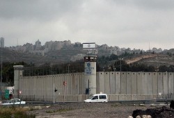 ارتفاع عدد الأسرى الفلسطينيين المصابين بكورونا إلى 265 حالة