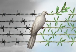 إحسان الفقيه تكتب: تربية المحن
