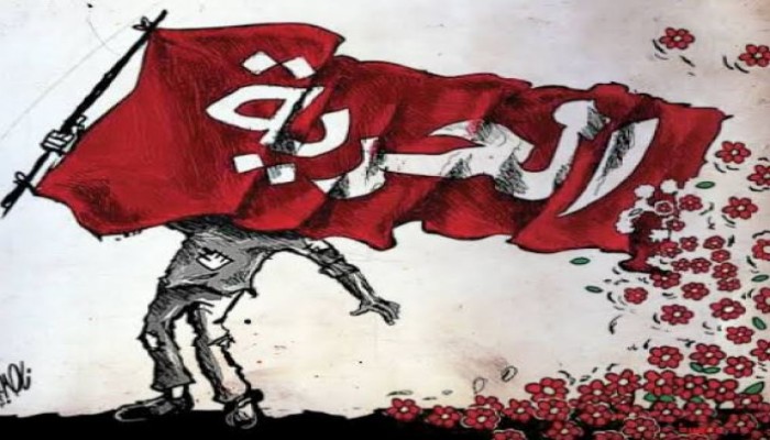 نشطاء يدشنون #الحرية_لمعتقلي_الرأي للتضامن مع الأحرار بسجون الانقلاب