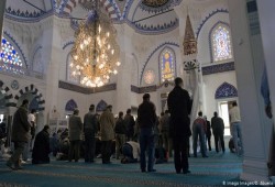 دعوة مسلمي ألمانيا للمشاركة بالانتخابات المقبلة