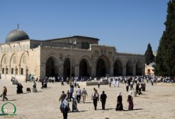 صهاينة يقتحمون الأقصى.. واعتقالات بالضفة المحتلة