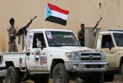 اليمن.. الإمارات نقلت قيادات عسكرية موالية لها إلى جزيرة سقطرى