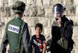 "الجنائية الدولية" تبدأ التحقيق بجرائم الصهاينة في الأراضي الفلسطينية