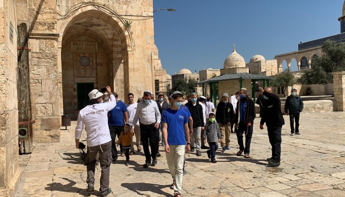 274 صهيونيا يقتحمون المسجد الأقصى