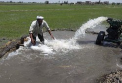 نظام الانقلاب يُلزم الفلاح بتحمل 10% من قيمة مشروعات الصرف الزراعي