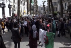 الجزائر.. مسيرات شعبية تطالب بتغيير النظام السياسي