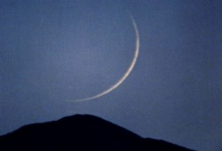 رمضان.. موسم الخيرات