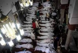 د. أكرم كساب: 20 فائدة في ظل إجرام وتضليل "الاختيار 2" .. علمتني رابعة