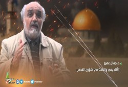 د. جمال عمرو: فلسطين تعيش لحظات تاريخية فاصلة ما بعدها ليس كما قبلها