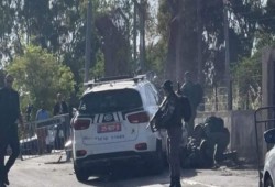 "القسام" تبارك عملية الدعس البطولية في الشيخ جراح