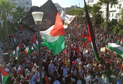 40مدينة مغربية تحتفل بانتصار المقاومة الفلسطينية