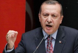 أردوغان يدعو لتأسيس شبكة تواصل دولية لمكافحة معاداة الإسلام