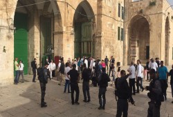 عشرات المستوطنين الصهاينة يقتحمون باحات المسجد الأقصى