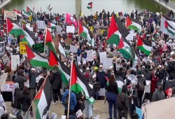 واشنطن.. الآلاف يتظاهرون دعما للشعب الفلسطيني