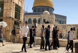 مستوطنون صهاينة يقتحمون باحات "الأقصى"