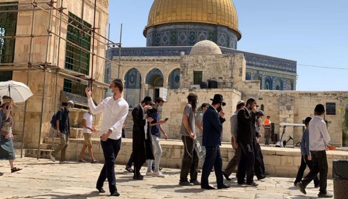 مستوطنون صهاينة يقتحمون باحات "الأقصى"