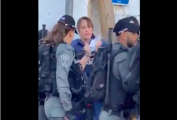 الاحتلال الصهيوني يقمع وقفة بـ"الشيخ جراح" ويعتقل مراسلة الجزيرة