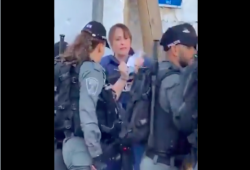 الاحتلال الصهيوني يقمع وقفة بـ"الشيخ جراح" ويعتقل مراسلة الجزيرة