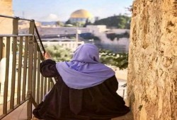 #القدس_حرة.. عشرات الشعراء العرب يشاركون في أمسية برحاب الأقصى