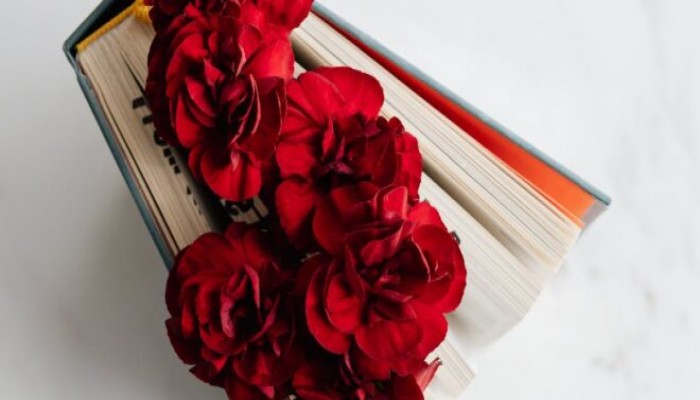 الحب المشروط بين الزوجين