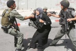 15 جمعية ونقابة أمريكية تصف الكيان الصهيوني بنظام فصل عنصري
