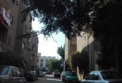 نشطاء يتضامنون مع سكان #ألماظة في مواجهة إجرام الانقلاب
