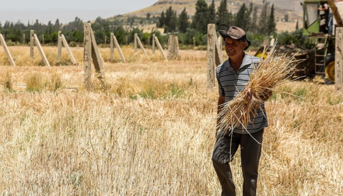 النظام السوري يدهم المنازل بحثاً عن القمح.. وتحذيرات من تفاقم أزمة الجوع