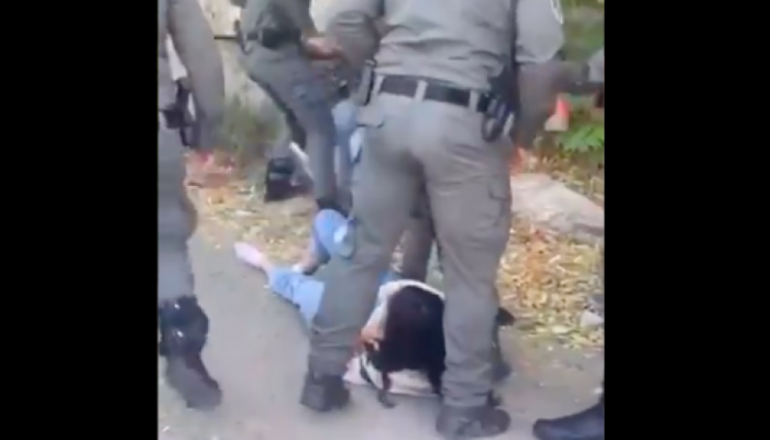الاحتلال يعتقل شقيقتين فلسطينيتين في حي الشيخ جراح بعد الاعتداء عليهما