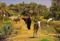 خبراء يحللون دوافع قائد الانقلاب من تعيين ضابط لكل قرية