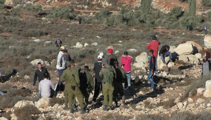 مواجهات مع الاحتلال ومواطنون يزيلون خيمة استيطانية بالخليل
