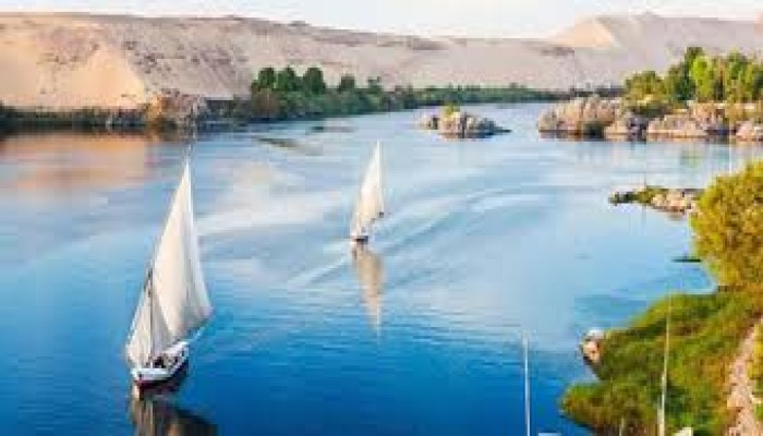 مصريون بالخارج يطالبون الجيش بالحفاظ على نهر النيل