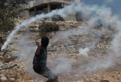 مسيرات رافضة للاستيطان في الضفة.. وإصابات برصاص الاحتلال
