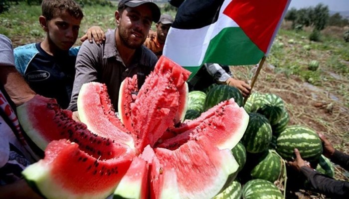 واشنطن بوست: الفلسطينيون تجاوزوا خوارزميات مواقع التواصل بالبطيخ