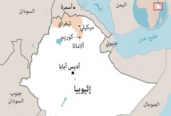 قوات إقليم تيجراي في إثيوبيا تعلن السيطرة على مدينة رئيسية