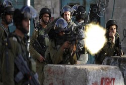 الاحتلال يصيب 4 مواطنين ويستولي على جرار زراعي في الأغوار