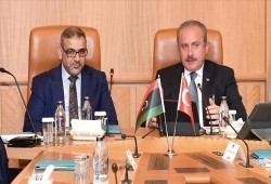 شنطوب والمشري يؤكدان أهمية إجراء الانتخابات الليبية بموعدها