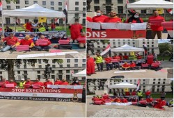 لندن.. اعتصام أمام مقر الحكومة يطالب بوقف أحكام الإعدام الظالمة بمصر