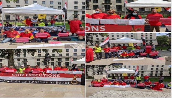 لندن.. اعتصام أمام مقر الحكومة يطالب بوقف أحكام الإعدام الظالمة بمصر