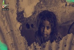 53 نائبًا أمريكيًّا يحذرون من تدهور الوضع الإنساني في غزة