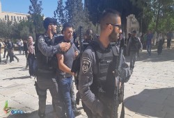 الاحتلال يقتحم حفل زفاف في سلوان لوقف أناشيد لغزة
