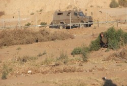 الاحتلال يطلق نيرانه على فلسطينيين شرقي خان يونس