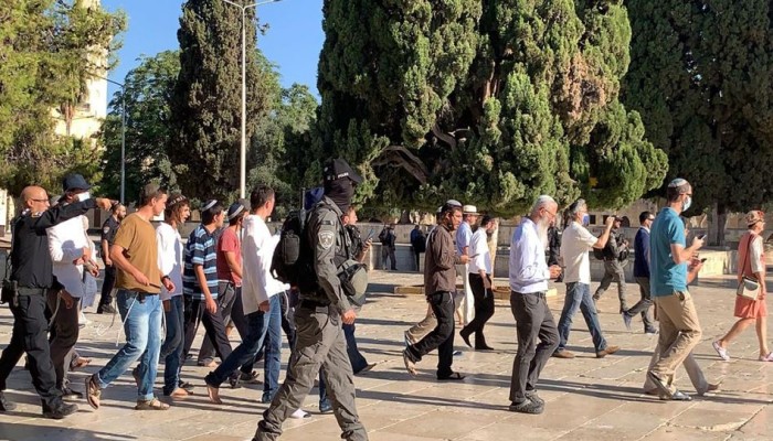 144 مستوطنًا يقتحمون الأقصى ودعوات صهيونية لتكثيفها