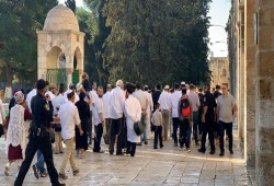 مستوطنون يقتحمون الأقصى بحراسة من شرطة الاحتلال