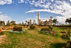 غضب بين نشطاء التواصل من مجزرة الأشجار في حدائق المنتزه الملكية