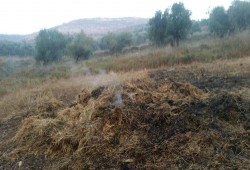 مستوطنون يشعلون النيران في أراضي المواطنين في بورين
