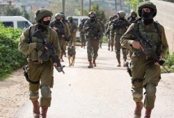 الاحتلال يشن حملة اعتقالات بالضفة تطال صحفيين.. وتوغل محدود في غزة