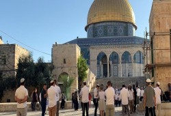 مستوطنون يقتحمون الأقصى وسط حماية شرطة الاحتلال